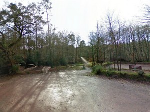 Près du tombeau de Merlin